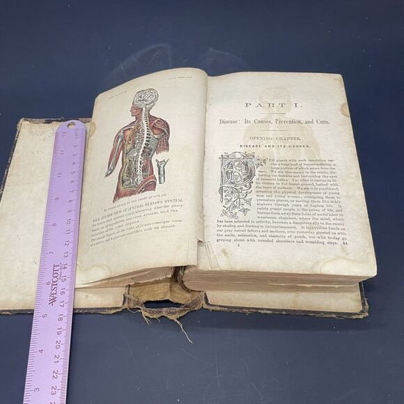 Plain Home Talk Medical Common Sense, OLD, Illustrated HB - Picture 10 of 12